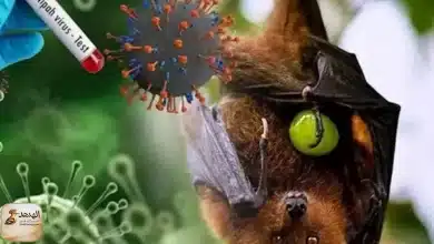 فيروس نيباه