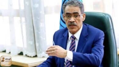 ضياء رشوان ضمن التشكيل الوزاري الجديد