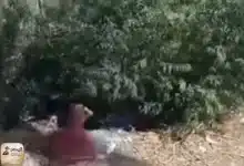 الاعتداء علي سيدة البحيرة