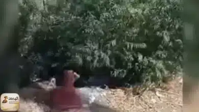 elbehera الاعتداء علي سيدة البحيرة