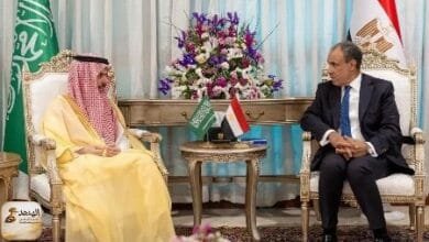 وزير الخارجية المصري بدر عبدالعاطي ونظيره السعودي فيصل بن فرحات