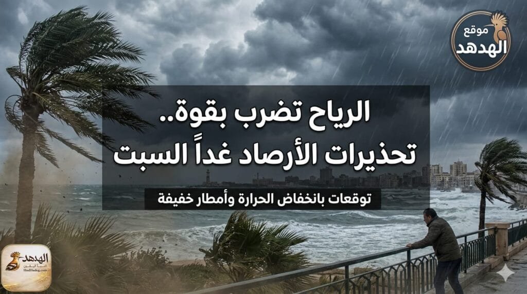 الرياح تضرب بقوة تحذيرات الأرصاد غدًا السبت