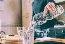 فوائد شرب الماء