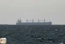 1474111.jpeg سفينة شحن تبحر بالقرب من مضيق هرمز