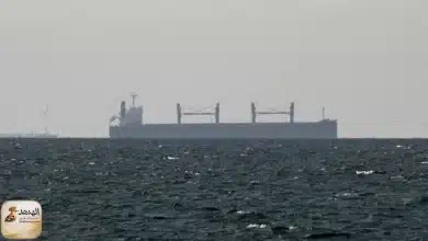 سفينة شحن تبحر بالقرب من مضيق هرمز