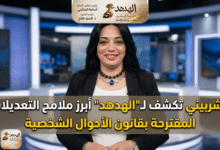 الشربينى تكشف لـ"الهدهد" أبرز ملامح التعديلات المقترحة بقانون الأحوال الشخصية