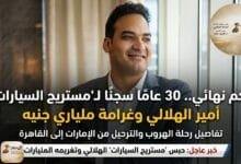 WhatsApp Image 2026 04 12 at 10.56.23 AM 30 سنة حبس لمستريح السيارات: نهاية رحلة الاستيلاء على المليارات