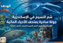 WhatsApp Image 2026 04 12 at 9.09.40 AM شم النسيم في الإسكندرية