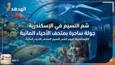 شم النسيم في الإسكندرية