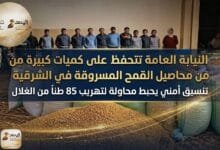 WhatsApp Image 2026 04 29 at 7.07.33 PM لغز سرقة قمح الشرقية.. المتهم باعه بـ 85 ألف جنيه والتحقيقات تكشف المفاجأة