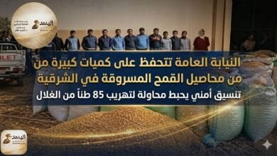 لغز سرقة قمح الشرقية.. المتهم باعه بـ 85 ألف جنيه والتحقيقات تكشف المفاجأة