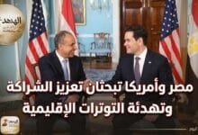 وزيرا الخارجية المصري والأمريكي