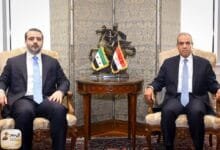 وزير الخارجية المصري ونظيره السوري في لقاء سابق بالقاهرة (الخارجية المصرية)