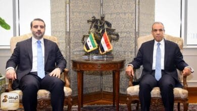وزير الخارجية المصري ونظيره السوري في لقاء سابق بالقاهرة (الخارجية المصرية)