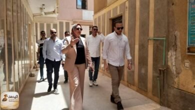 homyat2 مستشفى حميات البحيرة