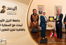 جامعة النيل الأوروبية تبحث مع السفارة التركية بالقاهرة تعزيز التعاون الأكاديمي