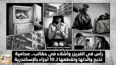 "محامية" تقتل وتقطع والدتها المسنة في الإسكندرية