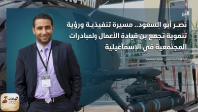 المهندس نصر أبو السعود