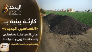 كارثة بيئية بـ «القصاصين الجديدة».. أهالي الإسماعيلية يستغيثون بالمحافظ ووزير الزراعة لإنقاذهم من «سماد الصرف الصحي»