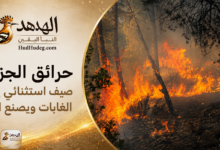 حرائق الجزائر.. صيف استثنائي يشعل الغابات ويصنع الكارثة