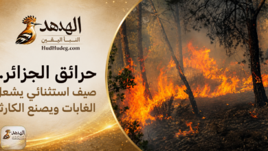 ChatGPT Image Aug 27 2026 11 37 54 PM حرائق الجزائر.. صيف استثنائي يشعل الغابات ويصنع الكارثة