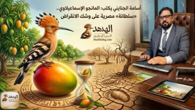 أسامة الجنايني يكتب: المانجو الإسماعيلاوي.. «سلطانة» مصرية على وشك الانقراض